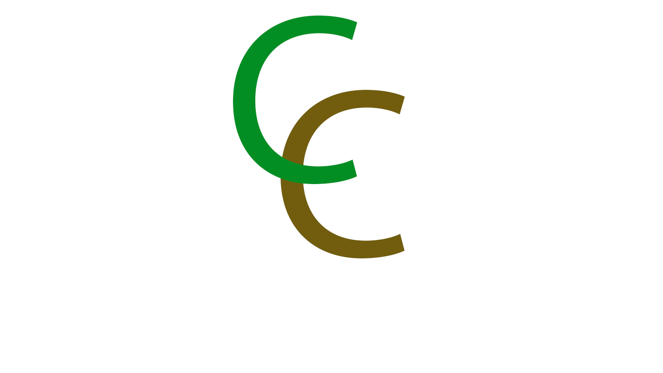 Web Logo Top (1)