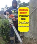 houston-tree-service-water-oak-delfino-aldine-arbor-cut-down-removal-trim