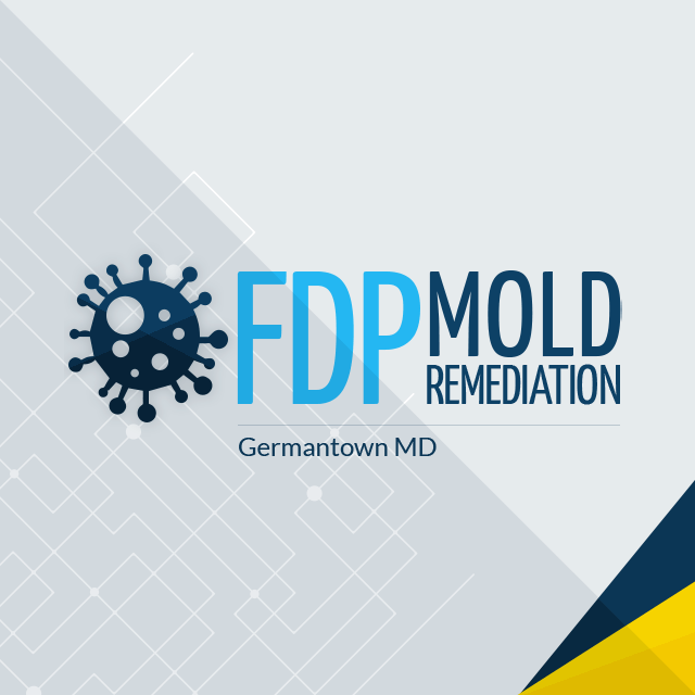 LogoFDP_Mold_Remediation