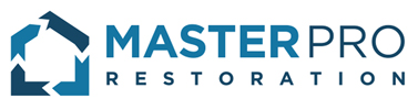 MasterPro_Logo_NotBold