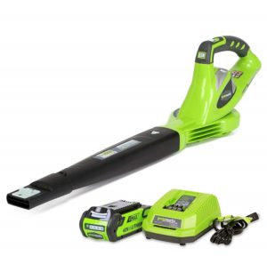 Greenworks-40V-150-MPH-Variable-Speed-Cordless-Blower-300x288