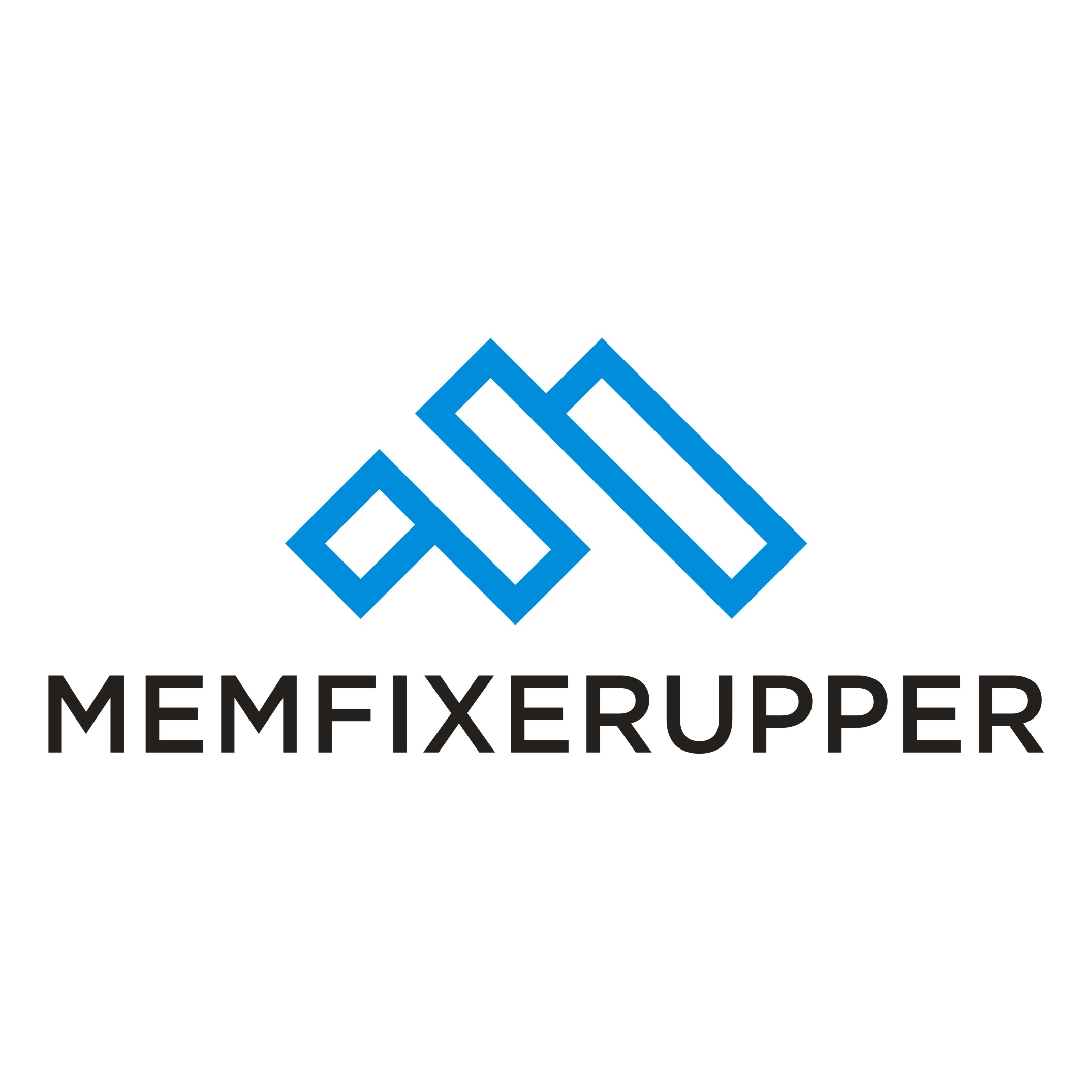 Memfixerupper Won Revision 1 (1)