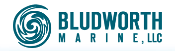 bludworth logo