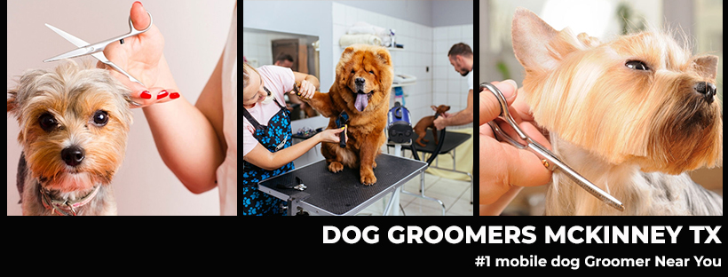 Dog-Groomers-Mckinney-Tx-Facebook-Cover-Image