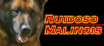 ruidoso-malinois-logo