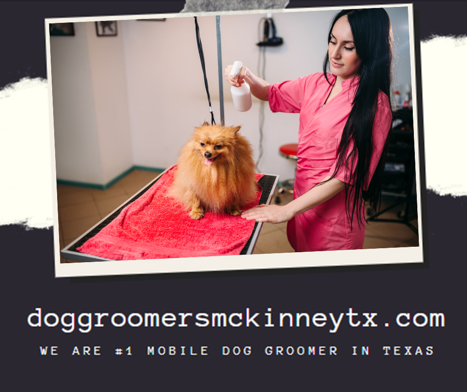 Dog-groomers-mckinney-tx