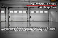 Issaquah-repair-opener