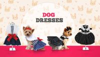 fashion clothes for dogs