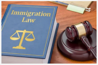 Law Offices of Mark Williams Immigration Law