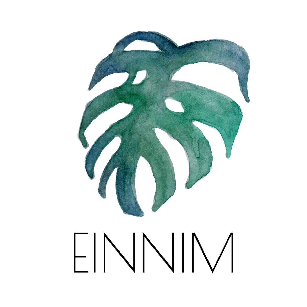 EINNIM Logo (1)
