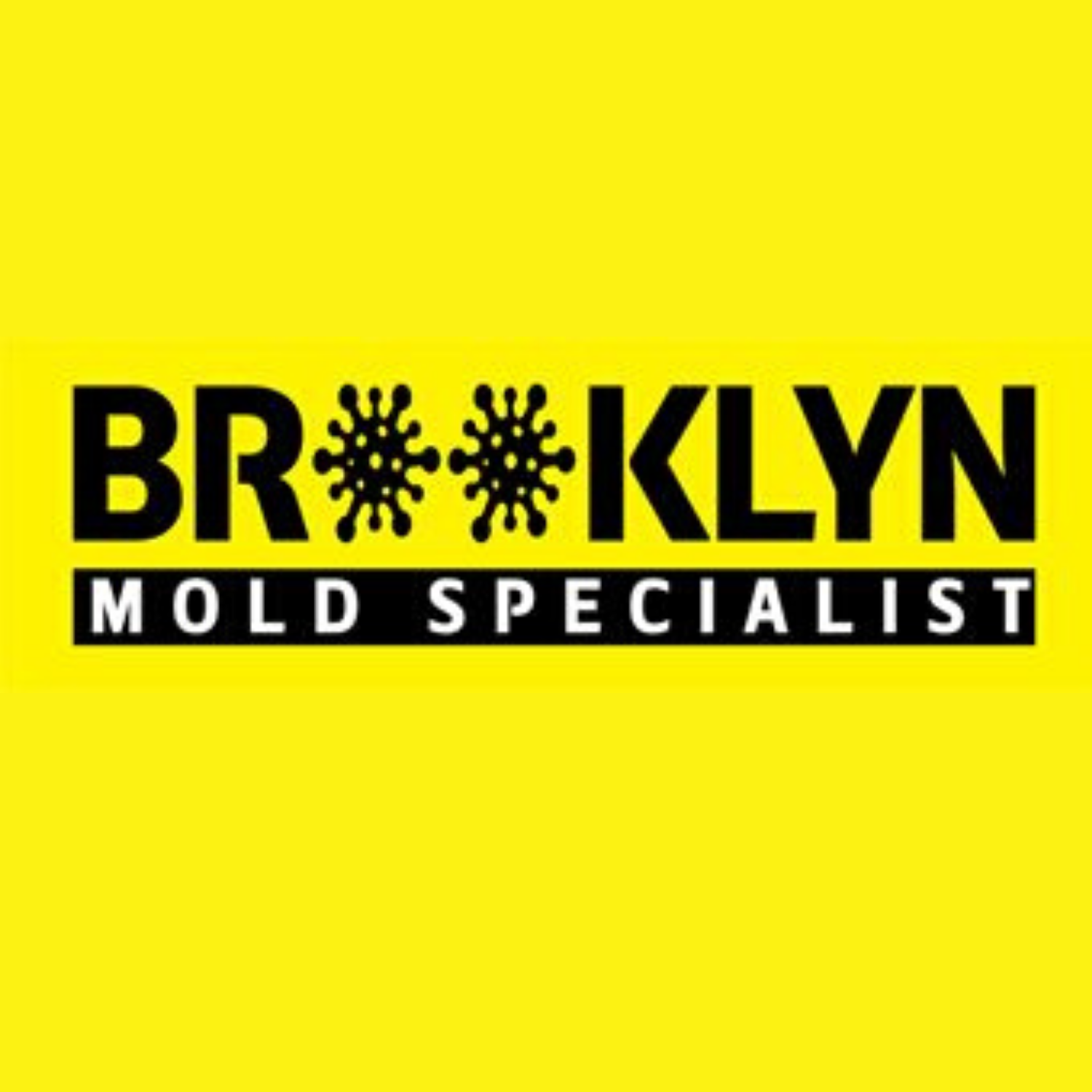 Brooklynmoldspecialist.com - LOGO