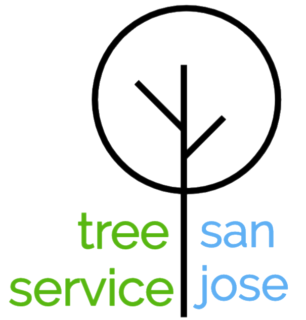 tree service sj logo transparent