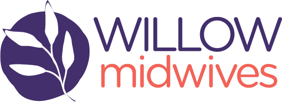 Willow Logo (1)