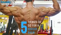 5 Things To Do For A Bigger Back!