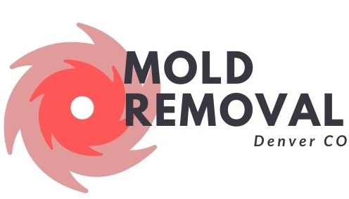 mold removal logo