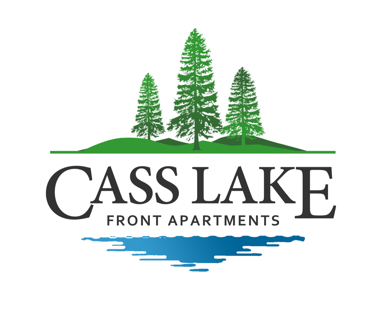 Cass Lake Front Apartments