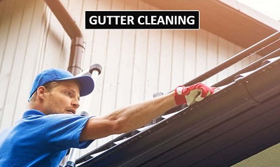 Moss & Gutter Cleaning