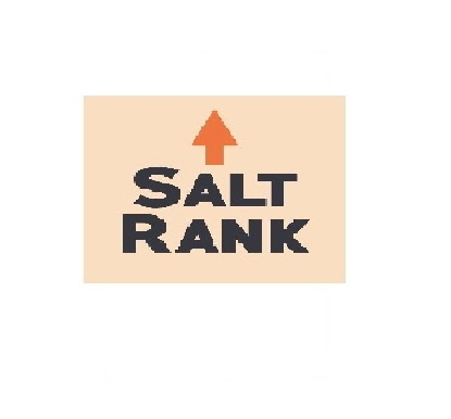 salt rank - seo expert
