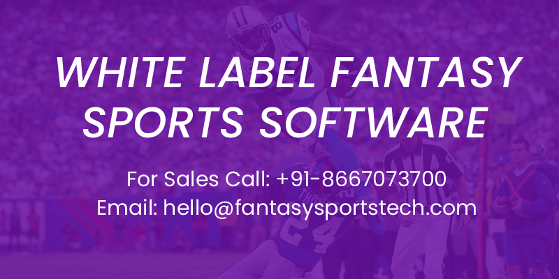 white-label-fantasy-sports-software-development-company