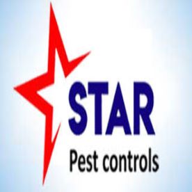stars pest controls 2 =