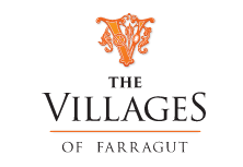 The Villagers f