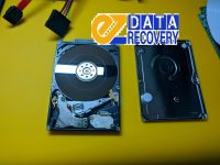 ez_data_recovery1000