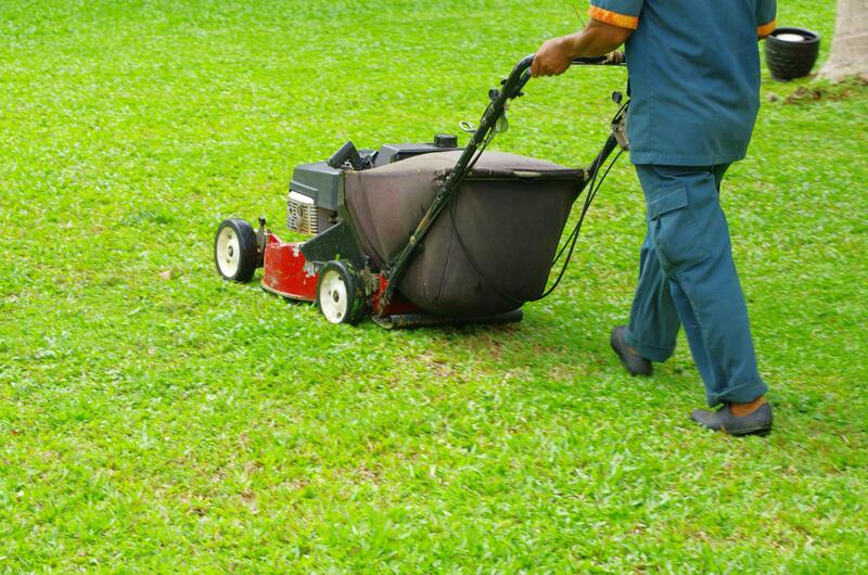 landscaping-fremont-lawn-service-and-maintenance-1