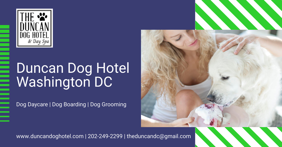 Ducan Dog Hotel Washington DC