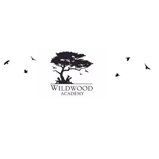 Wildwood-Academy.jpg