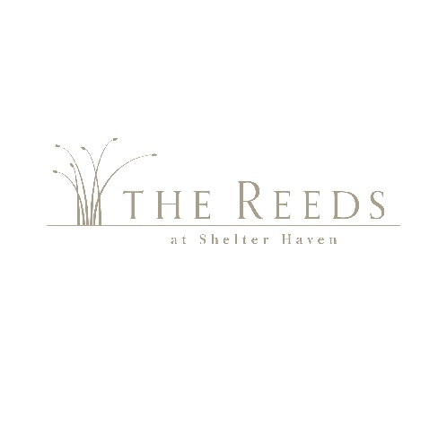 reedsatshelterhaven