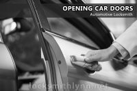 lynn-Opening-Car-Doors