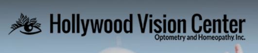hollywoodvision logo