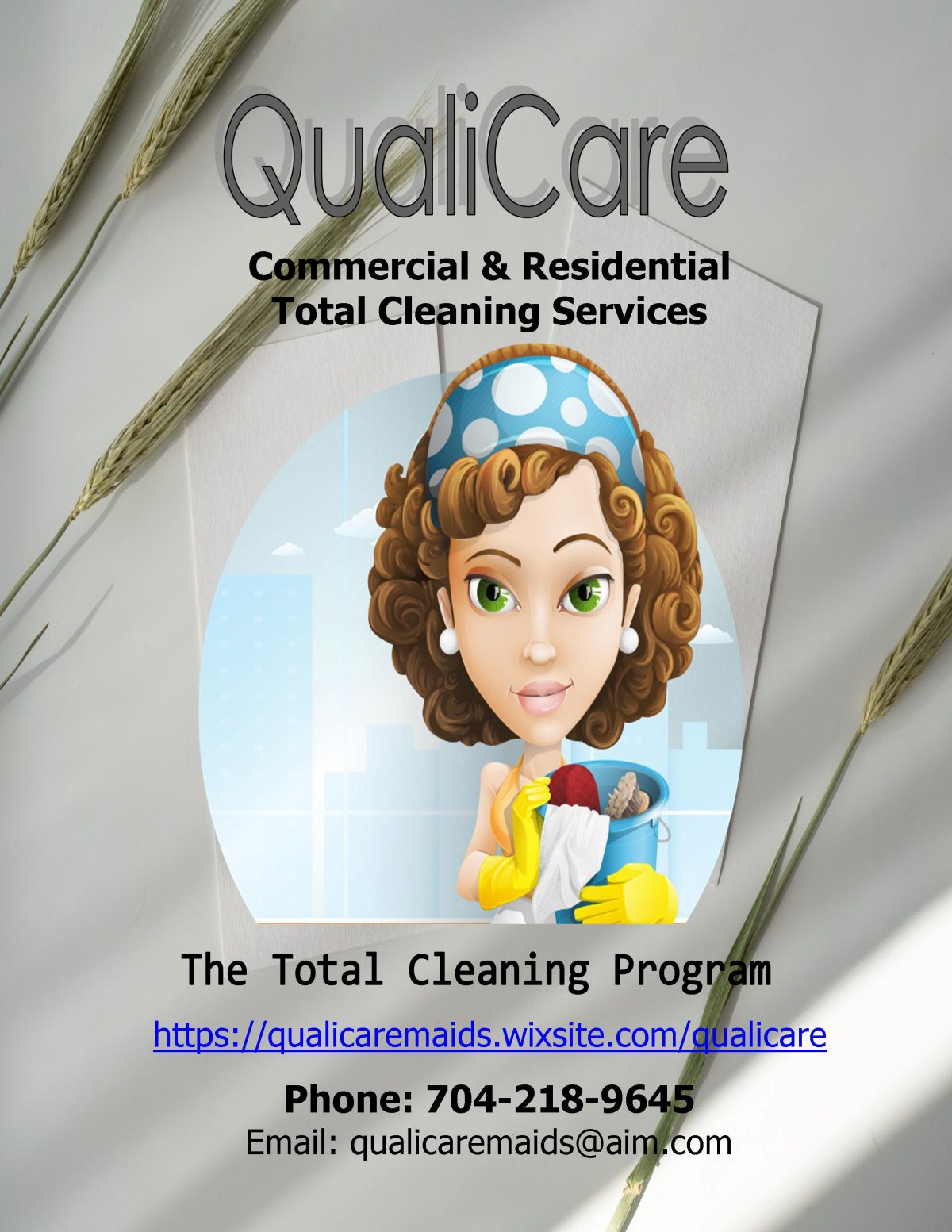 QualiCare Maids Web Business Card