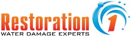 logo-restoration