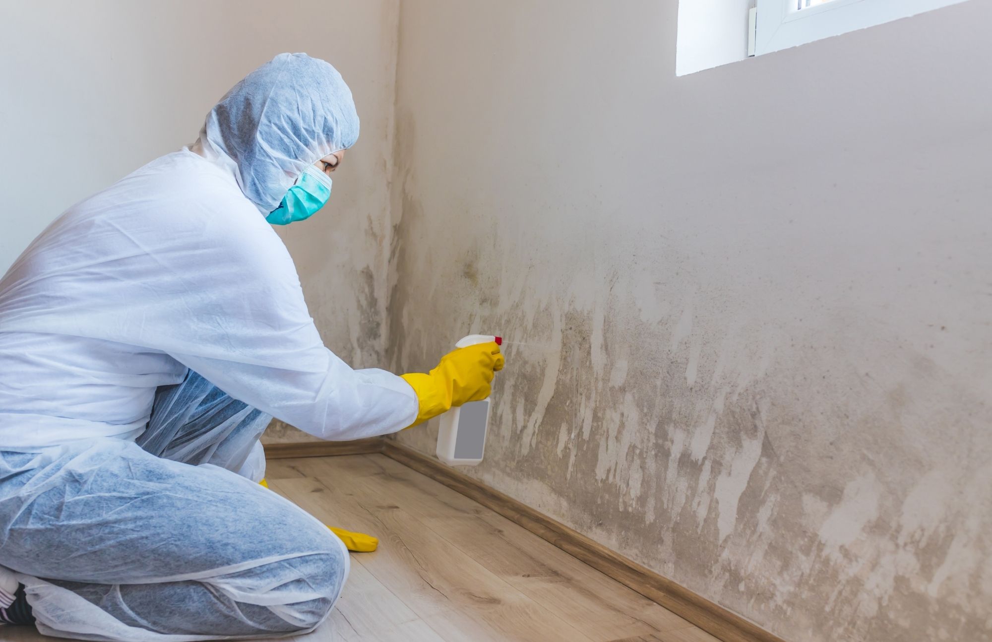 mold-removal-2