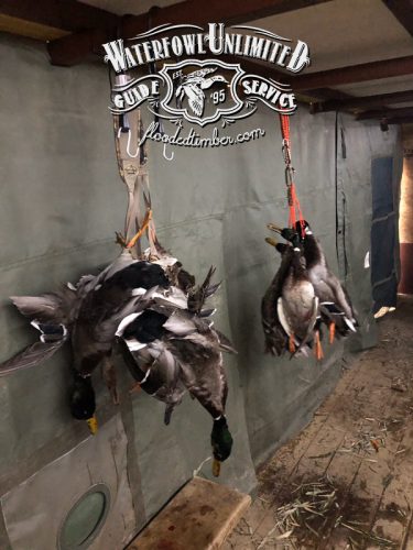 Waterfowl Unlimited Guide Service of historic Reelfoot Lake in west Tennessee and is proud to offer some of the finest waterfowling along the historical Missi