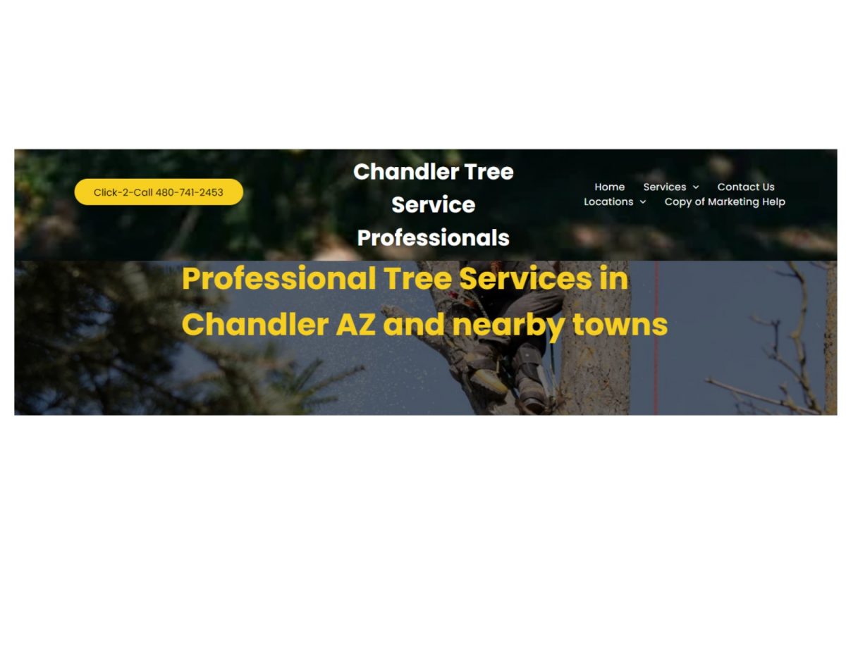 Chandler Tree Service Professionals