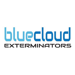 bluecloud-logo