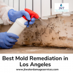 Get Mold Remediation in Los Angeles