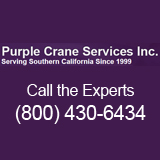 purple-logo
