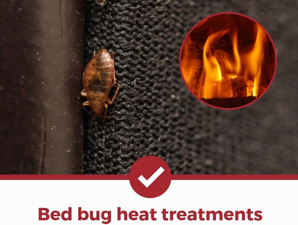 bed-bug-heat