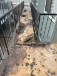 Deck repair, dry rot damage, deck building, dry rot repair