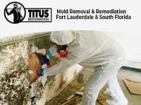 mold-removal-services-titus