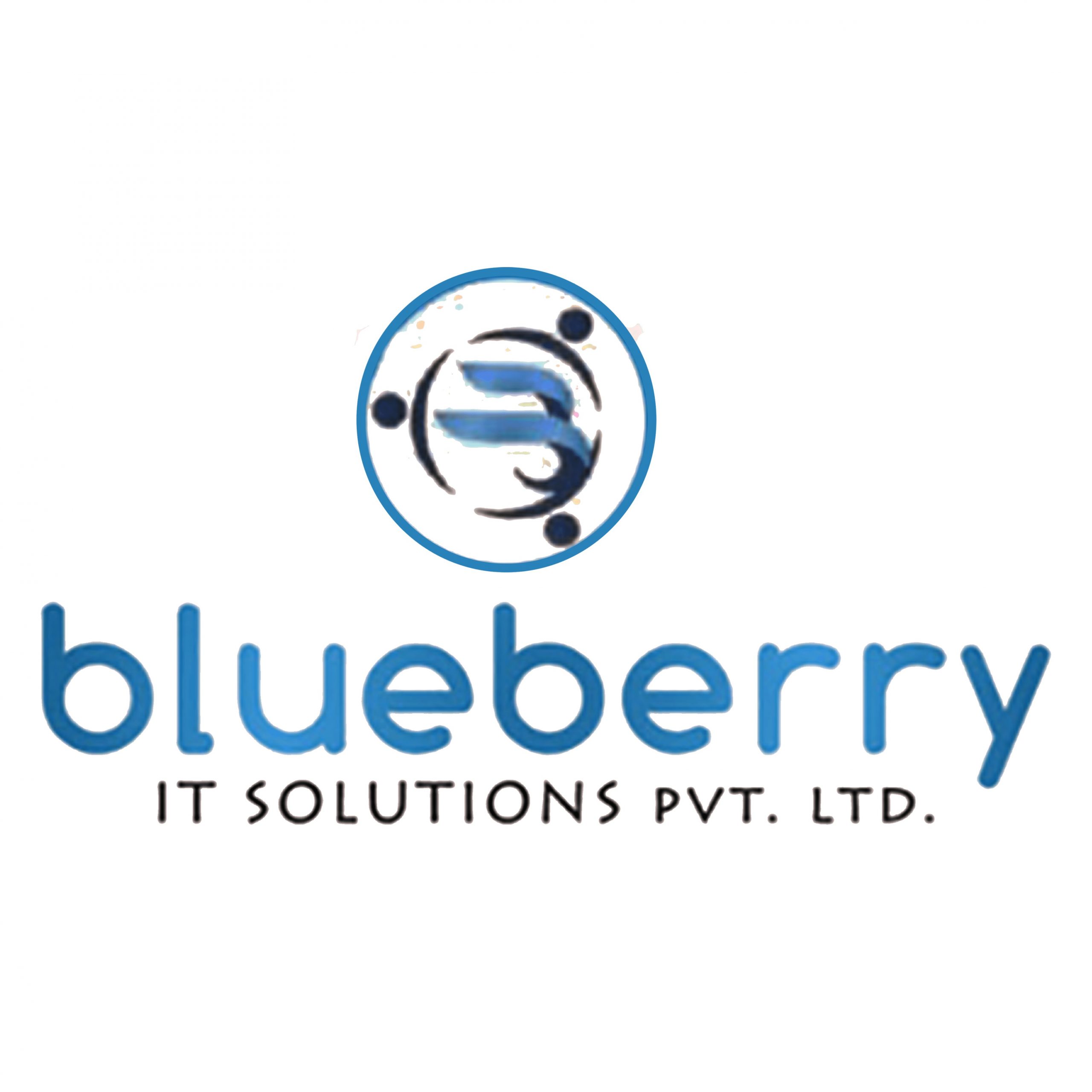 Blueberry IT Solutions Logo